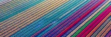 andromedallm's profile banner image