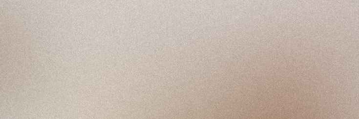シーカム(Cecum) banner