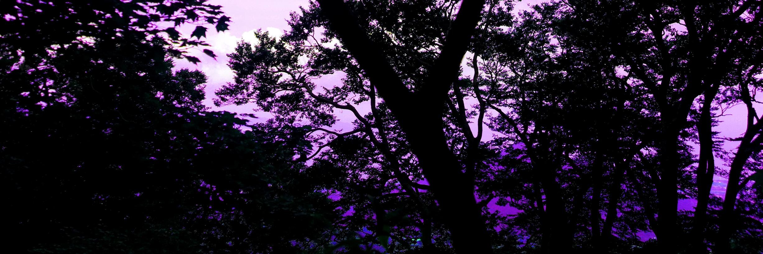 syama0505's profile banner image