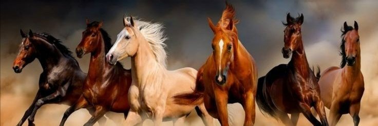 dhaher1982's profile banner image