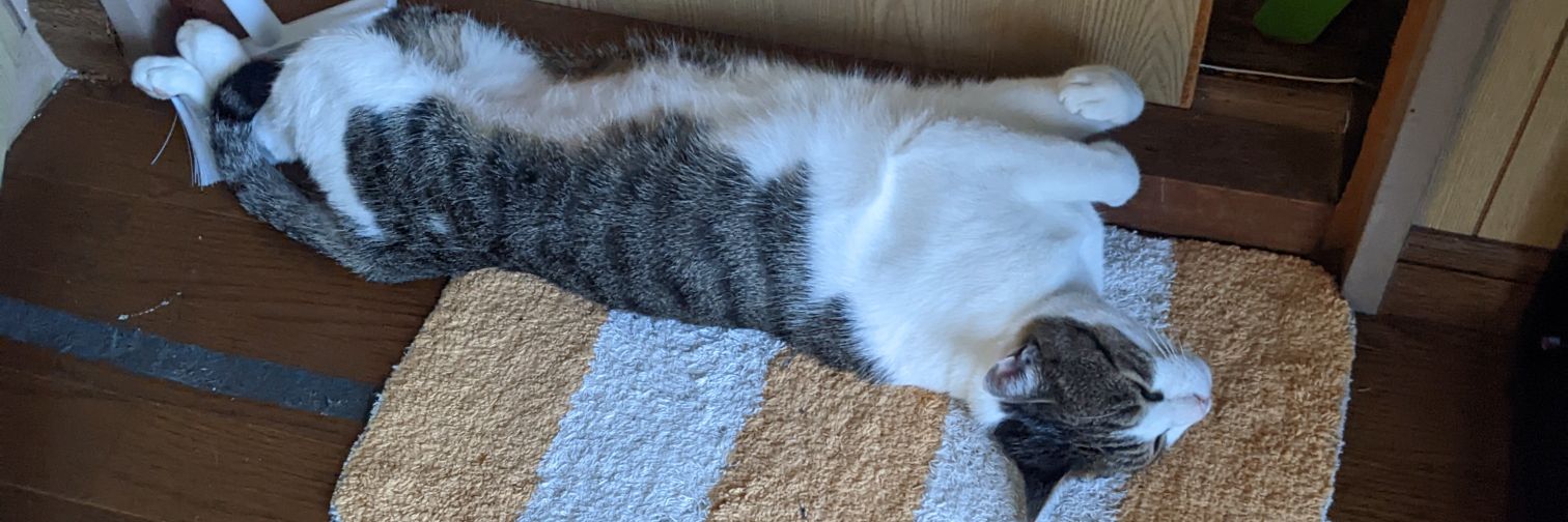 yamaplus@NGフラッグ banner