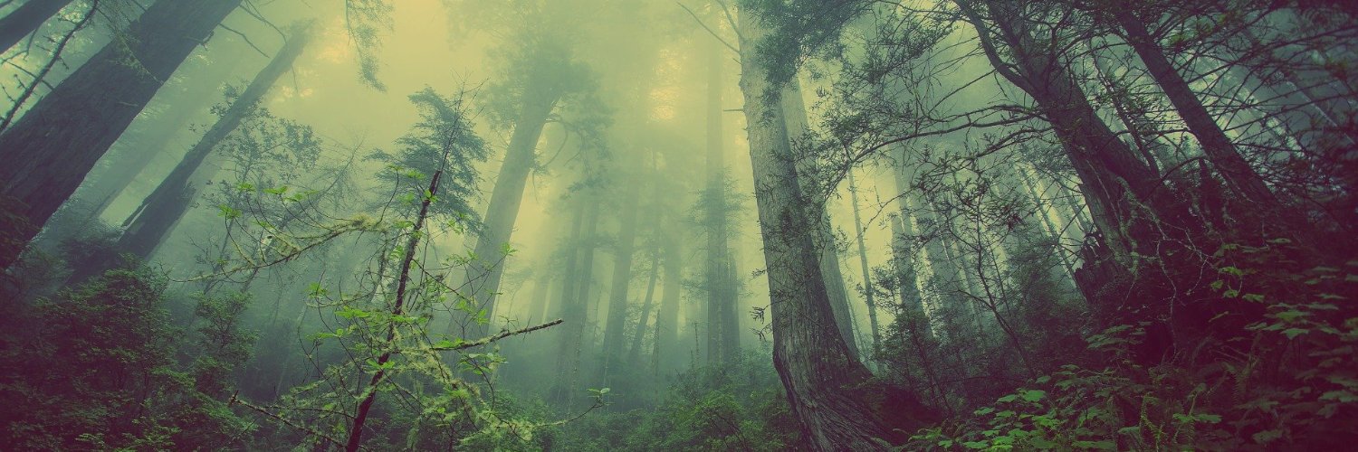 larskoole's profile banner image