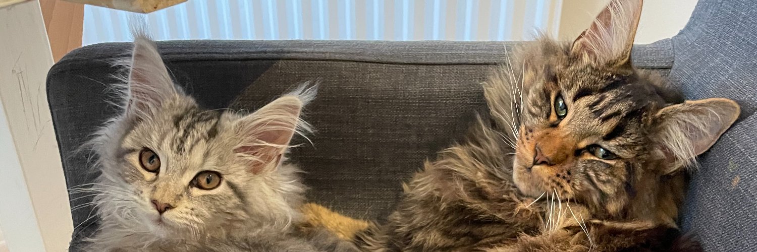 jamesdeer's profile banner image