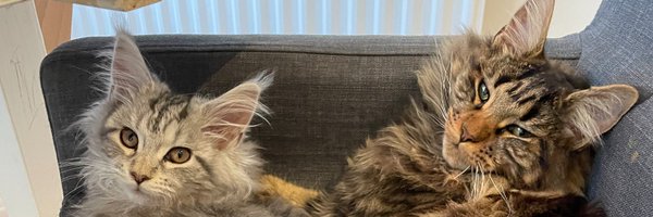 jamesdeer Profile Banner