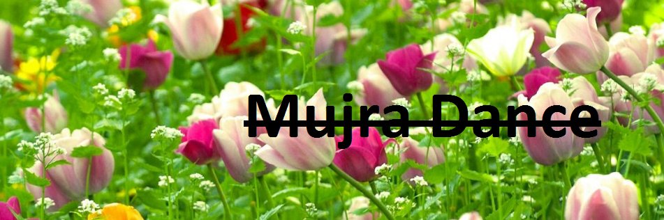 Entertaintoyou's profile banner image
