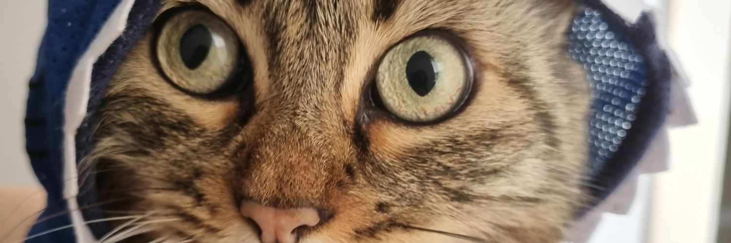mdsbrx's profile banner image