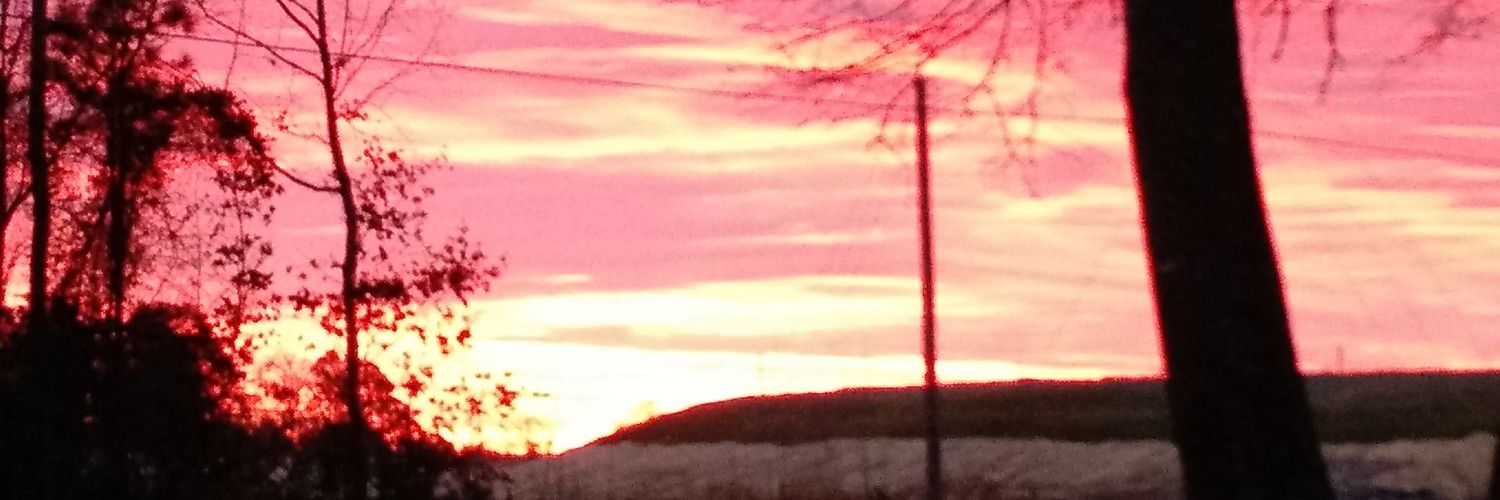 MLR877's profile banner image