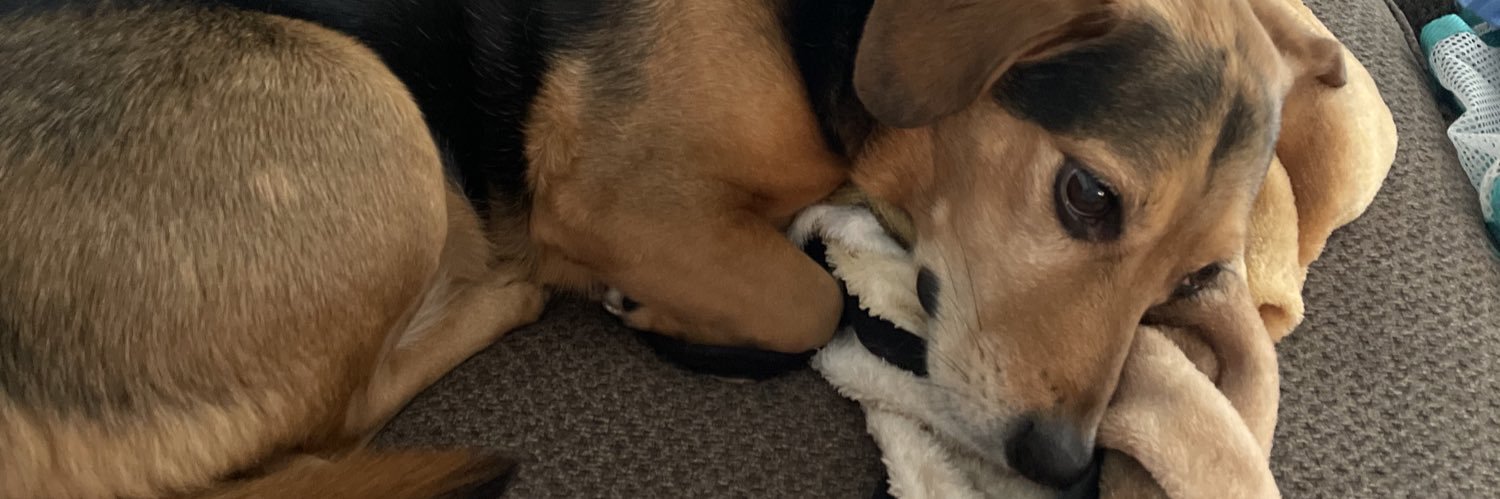 madilynn53's profile banner image