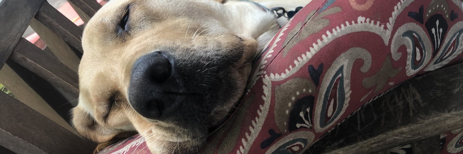 missoconnor23's profile banner image