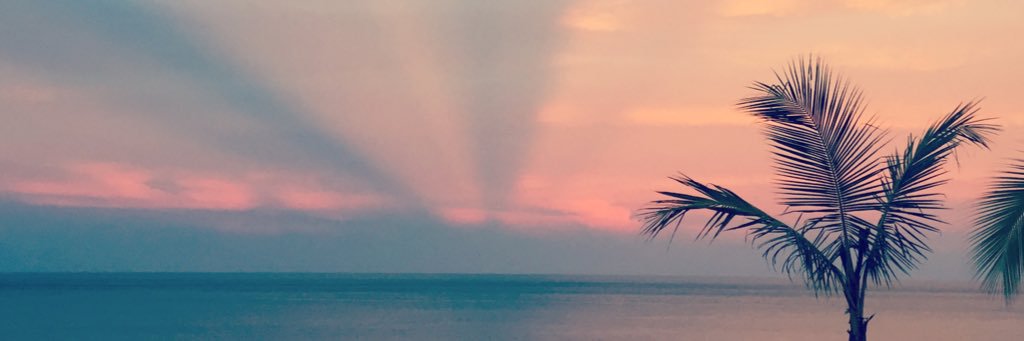 Visita Pedasi banner