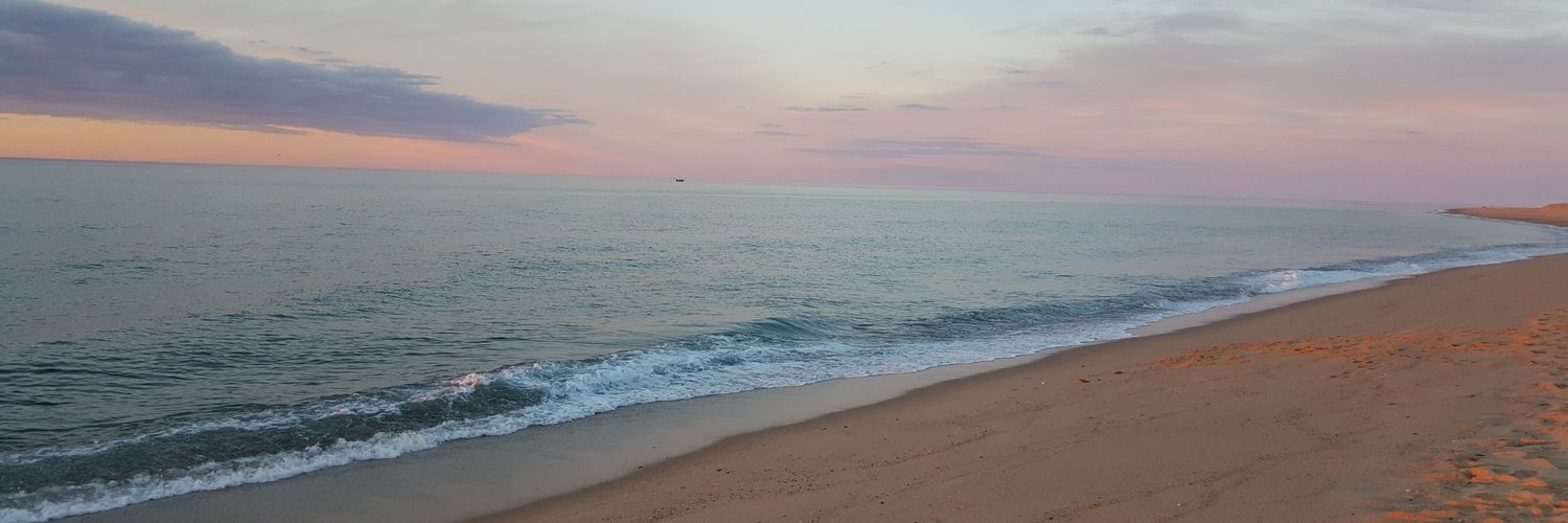 LuckySage1's profile banner image