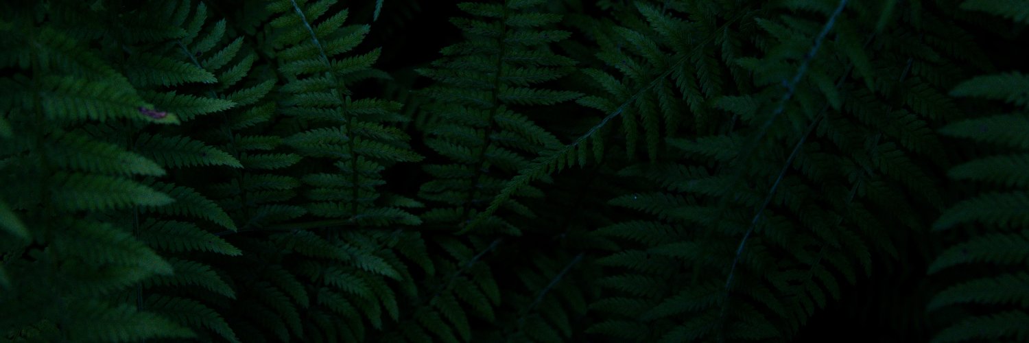 Stellar_Melk's profile banner image
