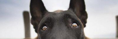 FM_ARTSY's profile banner image