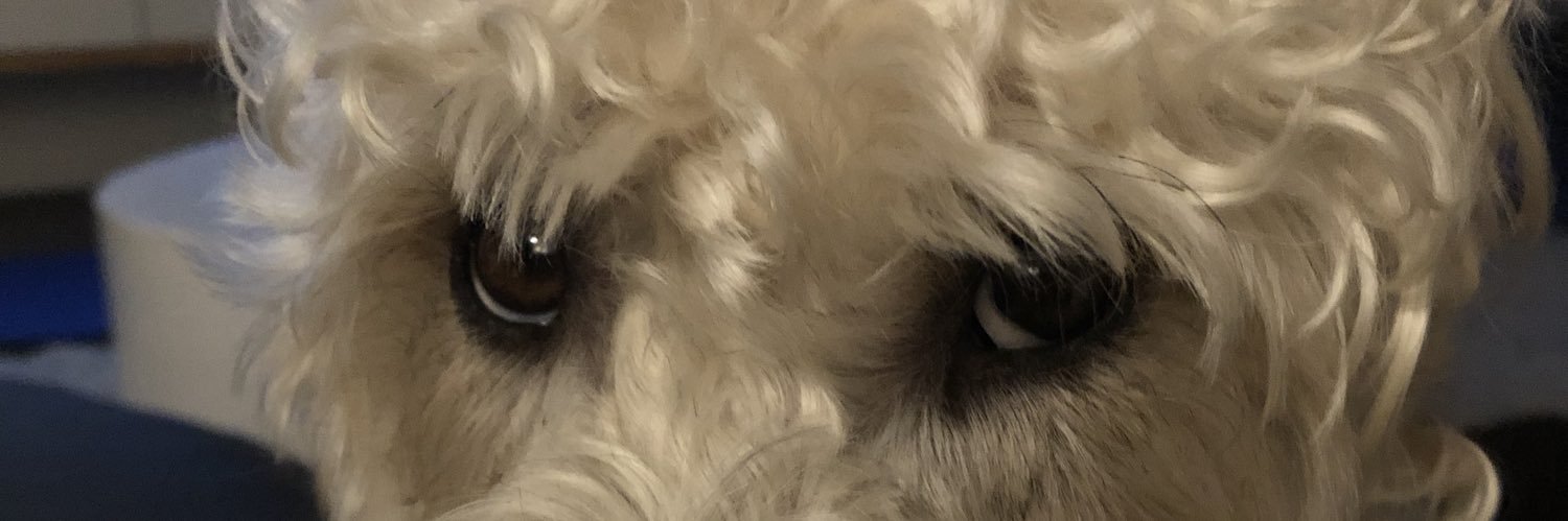woozel7's profile banner image