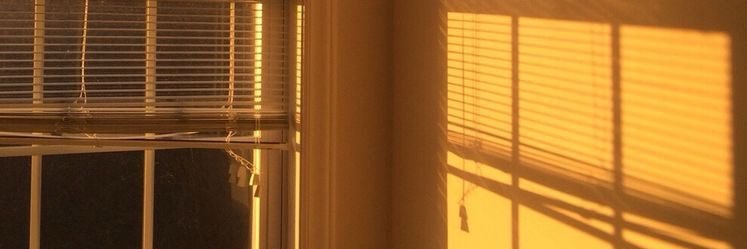lisa ꕤ buddie canon ?! banner