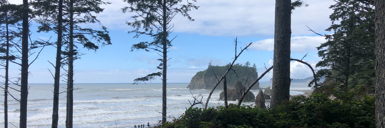 Mark Armstrong banner