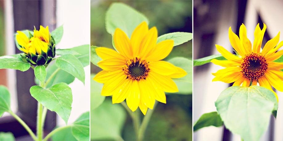 Kimberle's profile banner image