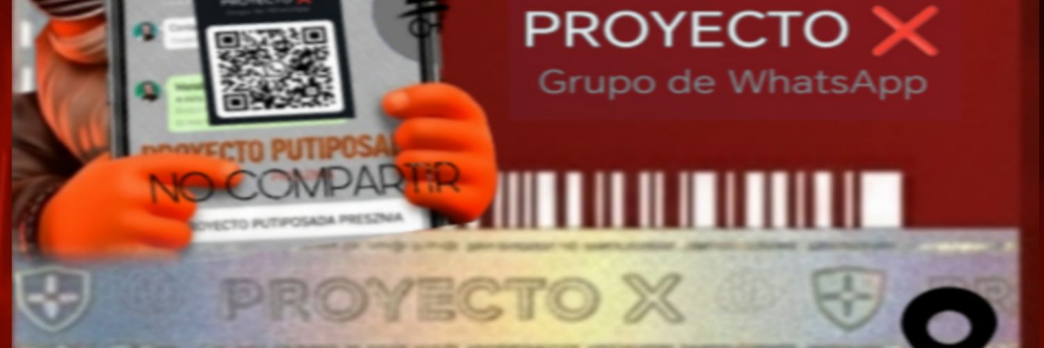 ProyectoX banner