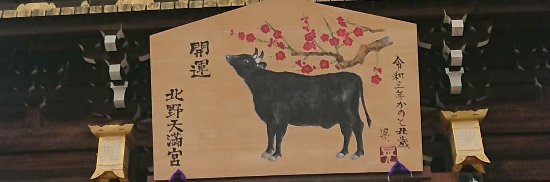 junichik1976's profile banner image