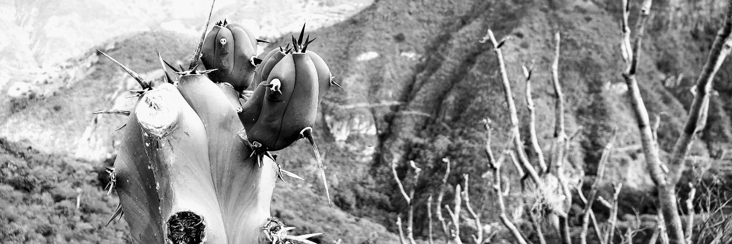 CirDavid's profile banner image