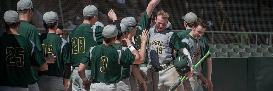 Skidmore Baseball banner