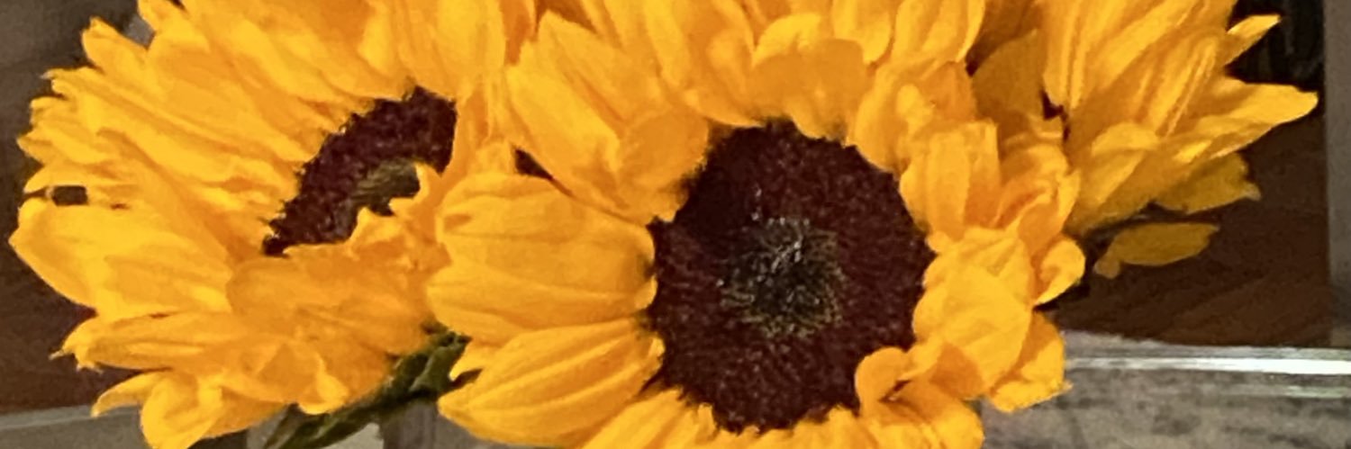 Tara Narula M.D.'s banner