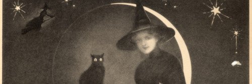 LittleWingFae's profile banner image