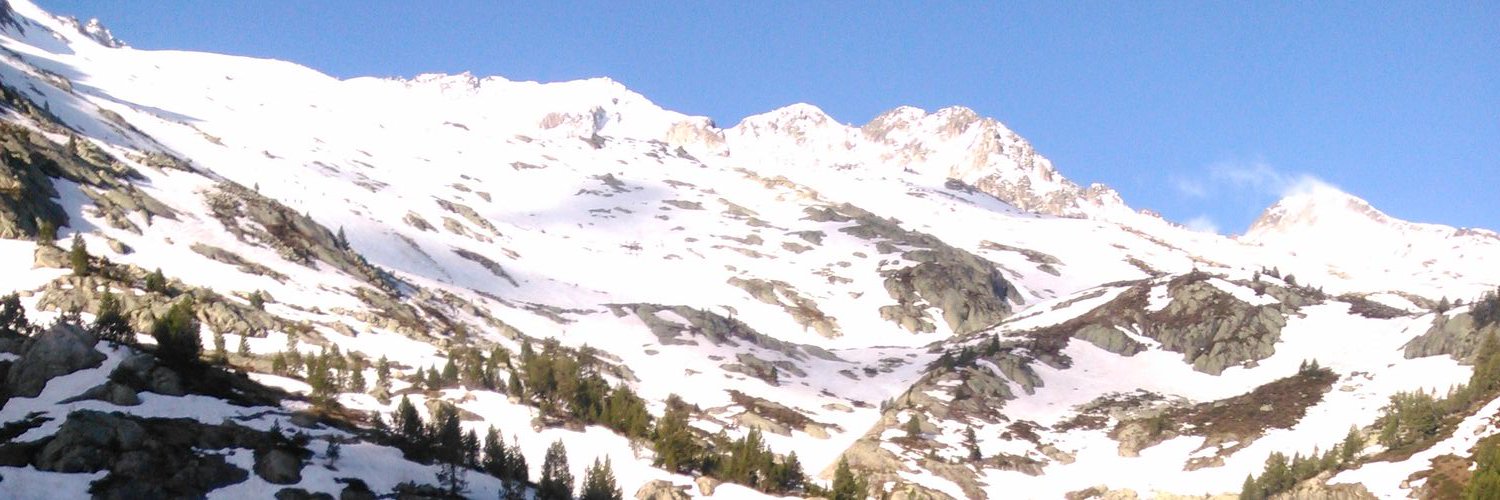 aeurgell's profile banner image