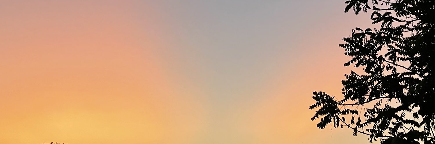 san_gh's profile banner image