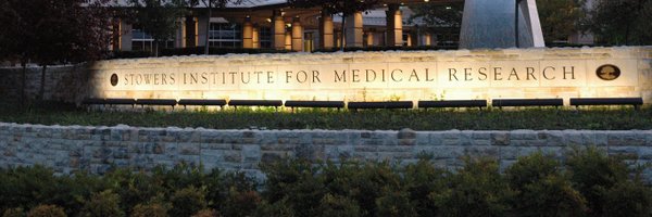 ZandersLab Profile Banner