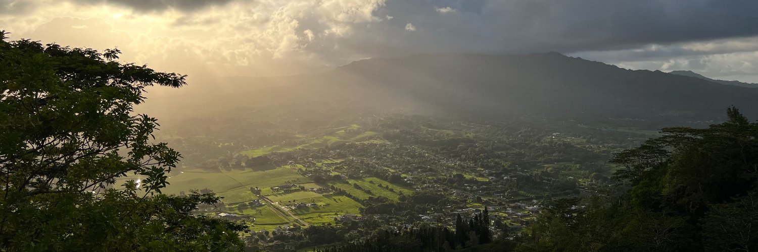 Ploy Achakulwisut, PhD banner