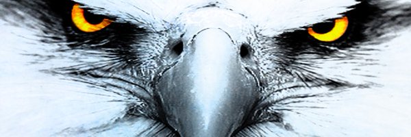 coachdansby Profile Banner