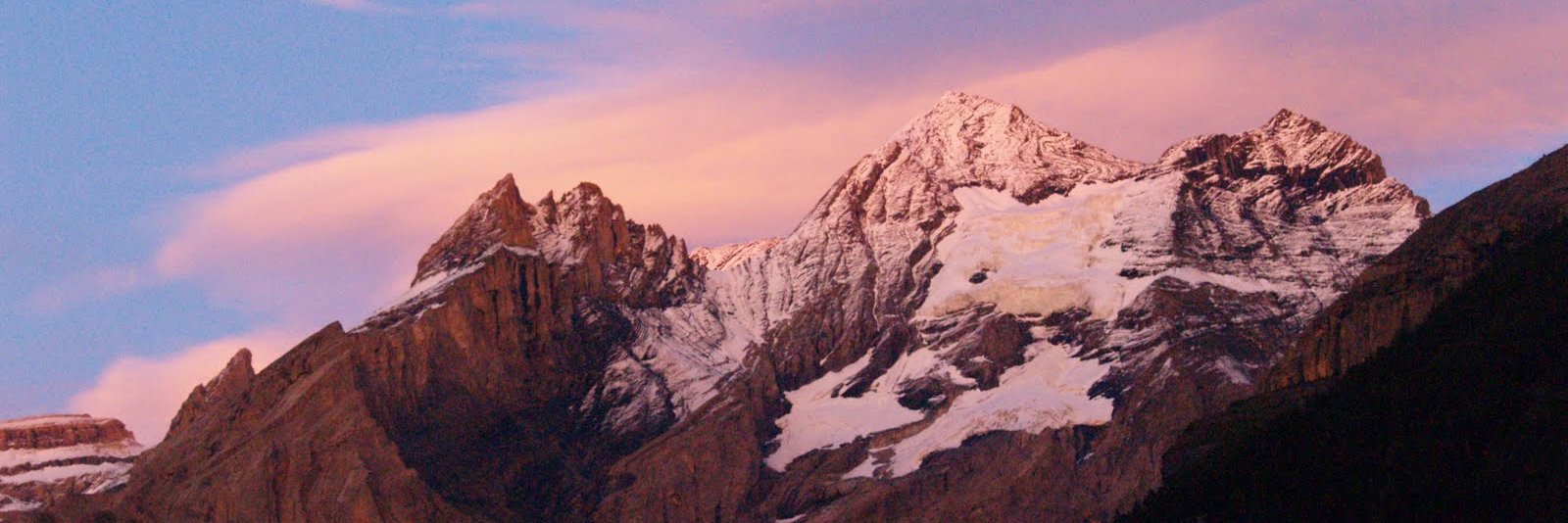 Sanam Roder-DeWan banner