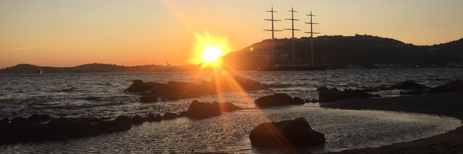 licenciada vicuchi banner