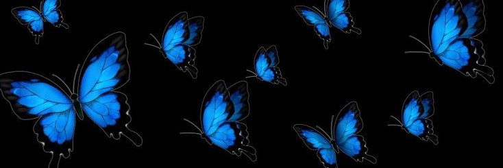 🦋 banner