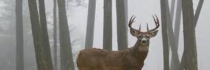 HuntCommander's profile banner image