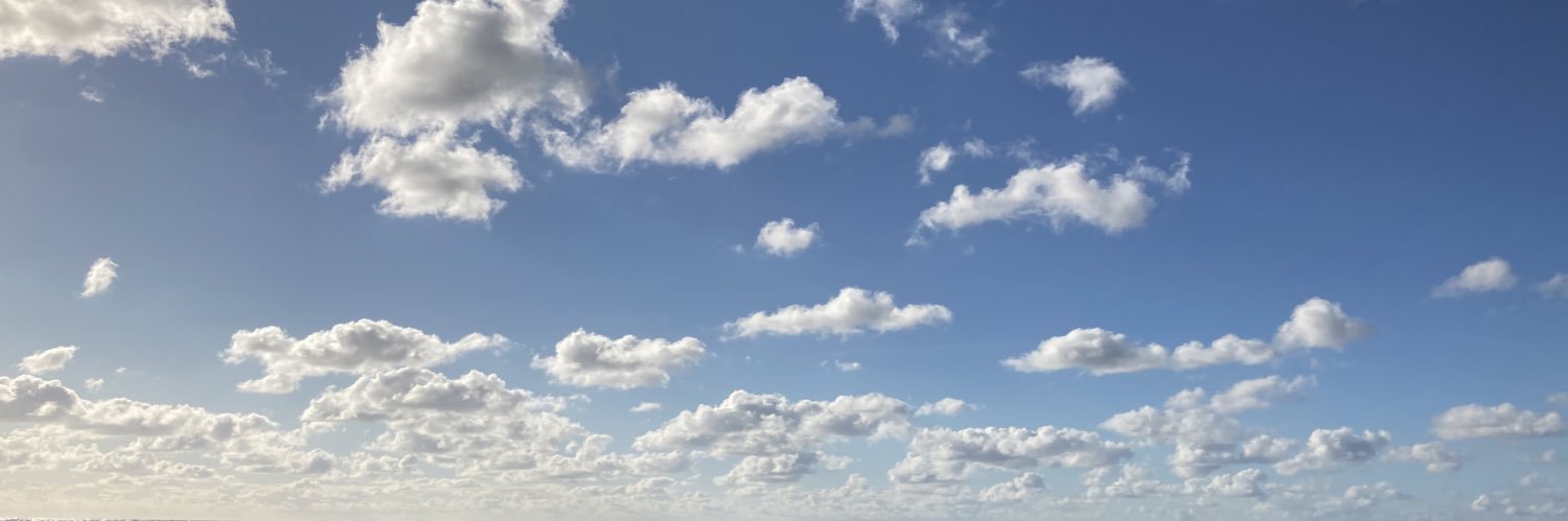 RetWidia's profile banner image