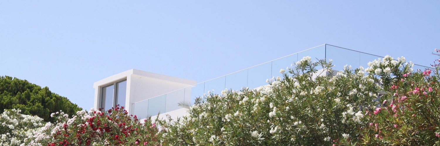 Afonso_vasc's profile banner image