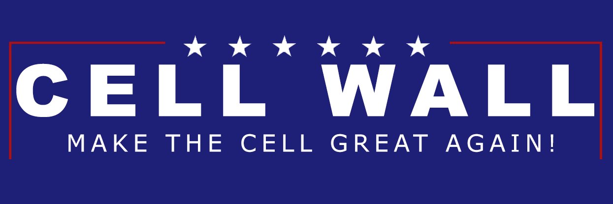 CellWall_2k16's profile banner image