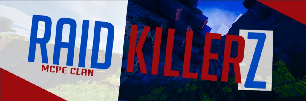 RaidKillerZ banner