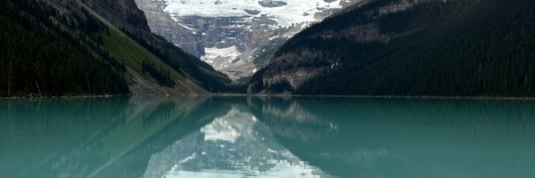 webword Profile Banner