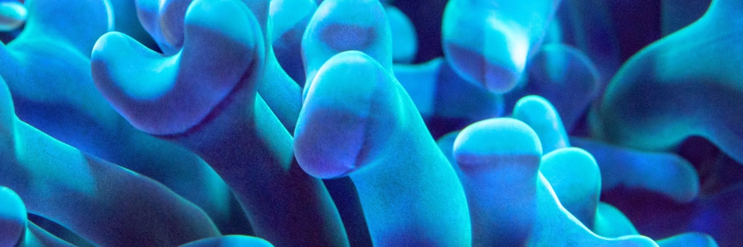 The Ganesha Lab banner