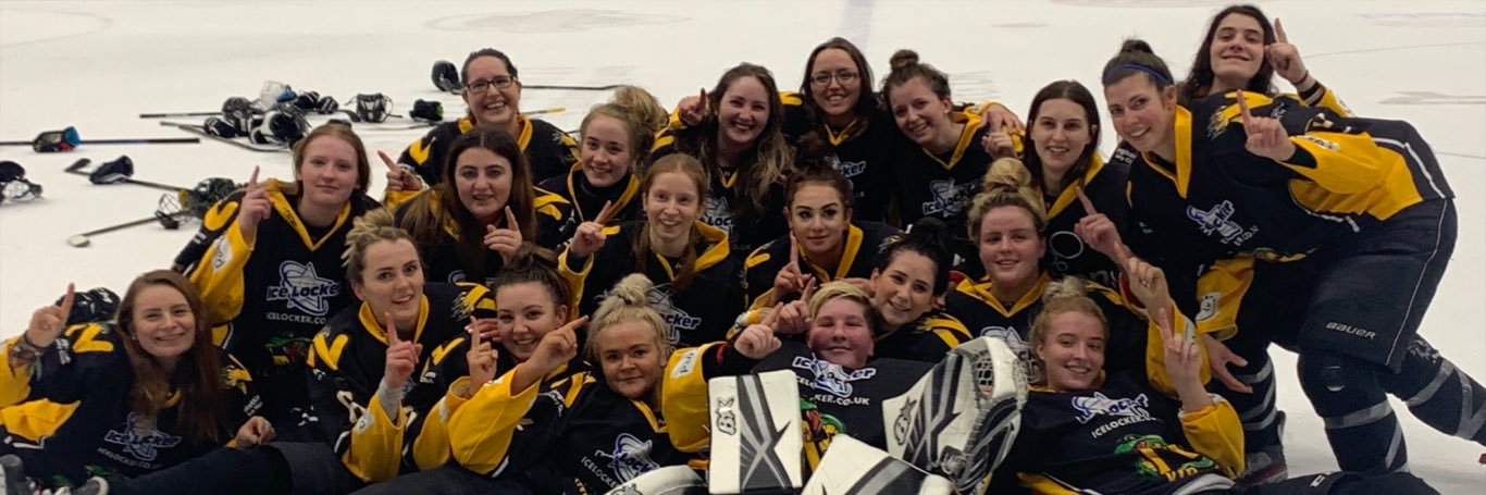 Nottingham Vipers banner