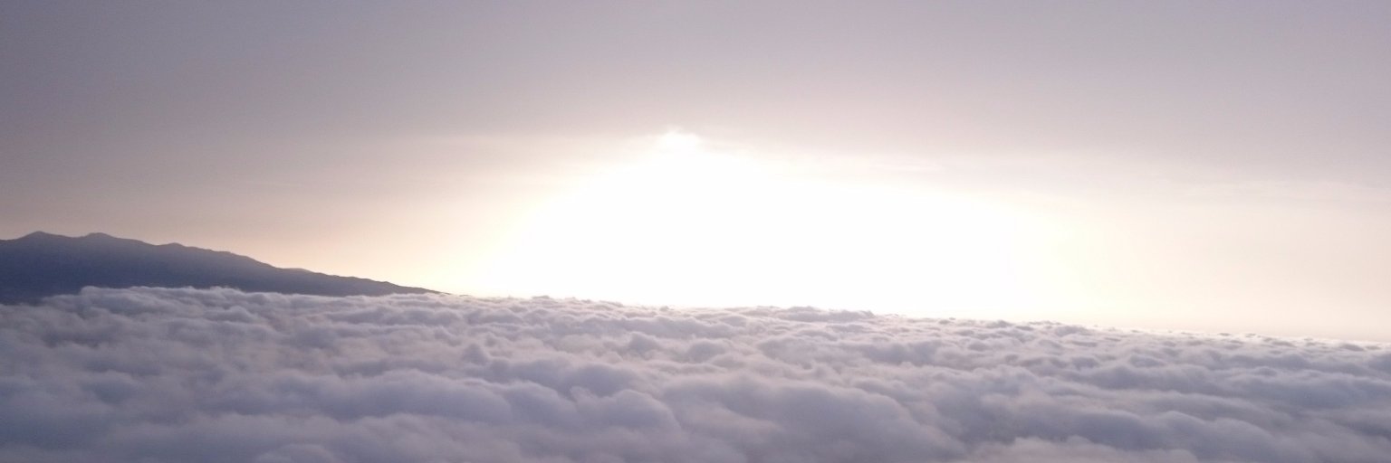 Alba Ramírez banner