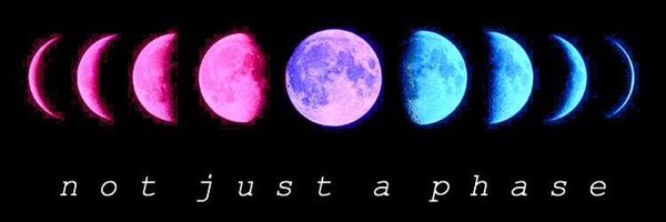 LexiBear3599 Profile Banner