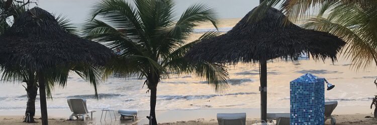 hailey_mcmahan's profile banner image