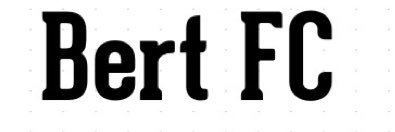 BERT FC banner