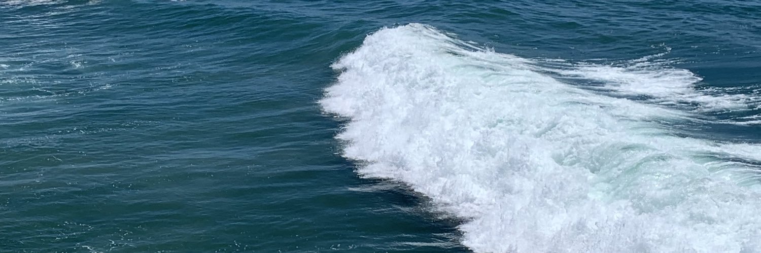 Gail Peterson banner