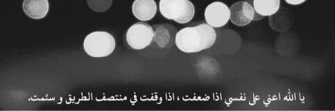 Reham_Eldaly's profile banner image