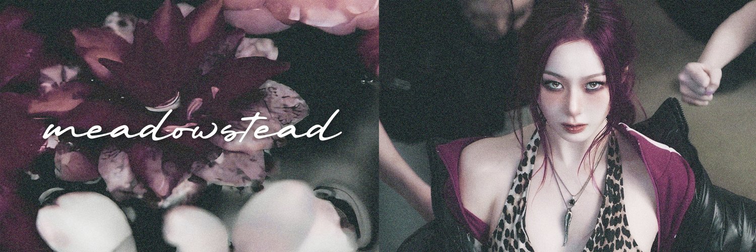 Meady • Joki Coding banner